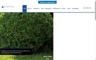 Blue Cedar Landscape