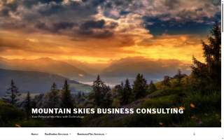 Mountain Skies Business Consulting