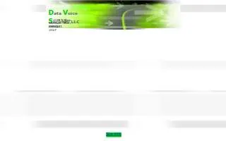 Data Voice Security, llc website