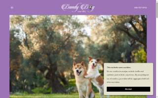 Dandy Dog Day Spa