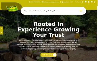 Valley Tree Services LLC of University City website