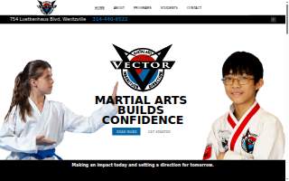 Vector Martial Arts - Wentzville