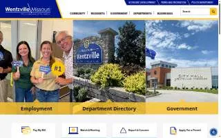 Wentzville Garage Door Repair website