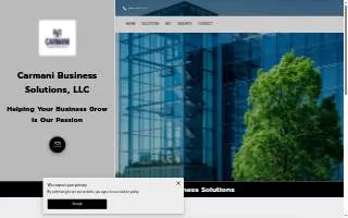 Carmani Business Solutions, LLC website