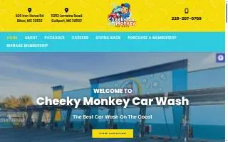 Cheeky Monkey Car Wash website