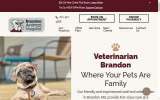 Brandon Animal Hospital website