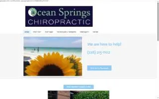 Ocean Springs Chiropractic of Gulf Hills website