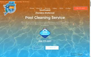 Blue Dolphin Pool Services