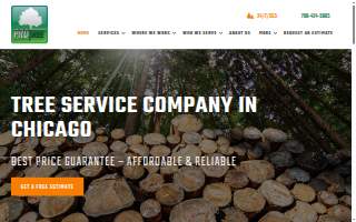 Professional Tree Service