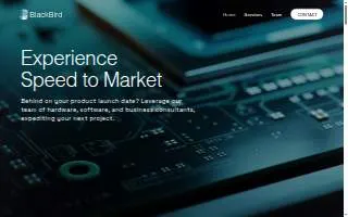BlackBird Technology Ventures website