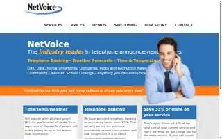 Netvoice Inc website