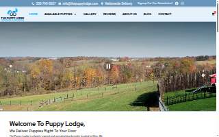 The Puppy Lodge