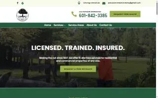Precision Tree Services of Ridgeland website