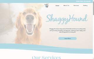 Shaggy Hound