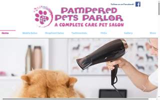 Pampered Pooch