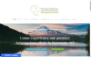 Pivotal Motion Acupuncture