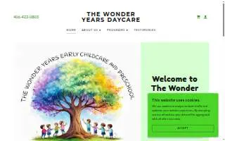The Wonder Years Daycare & Preschool LLC website