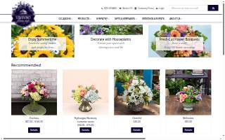 Health Solutions NC 