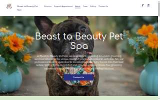 Beast to Beauty Pet Spa
