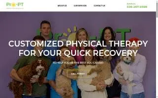 pro-pt website