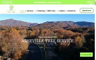 Asheville Affordable Tree Men