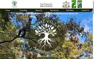 Asheville Arborists website