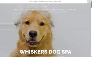Whiskers Dog Spa website