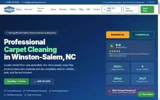 Triad Clean Team website