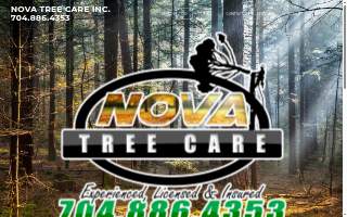 Nova Tree Care Inc of Concord