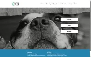 Sandy's Pet Service of Concord website