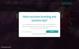 Colorful Creative Agency