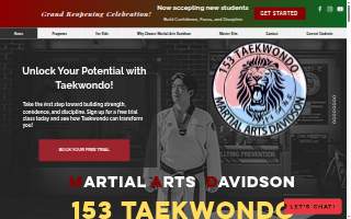 153TAEKWONDO (Martial Arts Davidson)