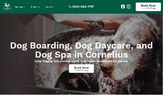 Camp Wagging Tails of Davidson