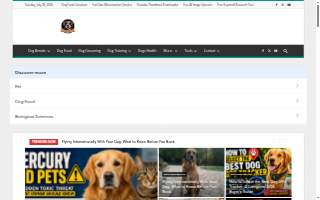 Dog Training In Your Home
