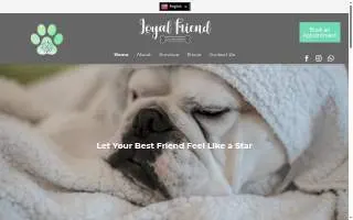 Loyal Friend Dog Grooming of Davidson website