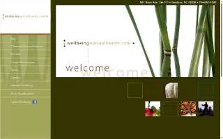 Wellbeing Natural Health of Davidson website