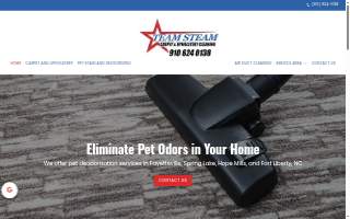 Team Steam Carpet Cleaning