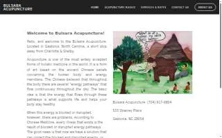 Bulsara Acupuncture website