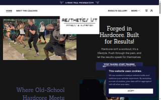 Aesthetics 1st LLC