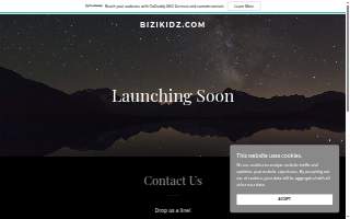Bizi Kidz