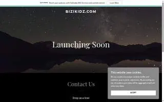 Bizi Kidz of Greensboro website