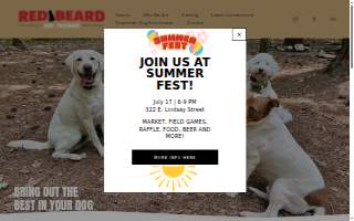 Red Beard Dog Training