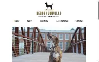 Hendersonville Dog Training website