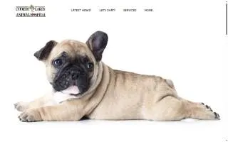 Cypress Lakes Animal Hospital website