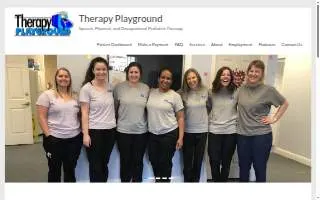 Therapy Playground Inc website
