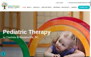 Little Wonders Pediatric Therapy