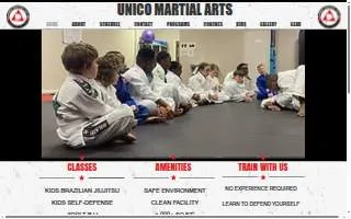 Unico Martial Arts website