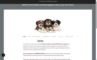 Colhaven Havanese
