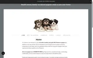 Colhaven Havanese website