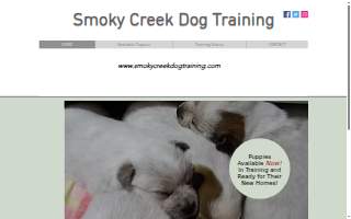 Smoky Creek Dog Training